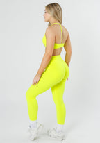 Reluna™ Icon Sculptseam® Plus Legging Highlighter Leggings/Joggers Paragon Fitwear 