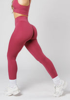 Reluna™ Icon Sculptseam® Plus Legging Raspberry Leggings/Joggers Paragon Fitwear 