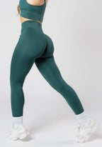 Reluna Icon Sculptseam® Plus Legging Ivy Leggings/Joggers Paragon Fitwear 