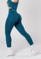 Reluna™ Icon Sculptseam® Plus Legging Jewel Leggings/Joggers Paragon Fitwear 