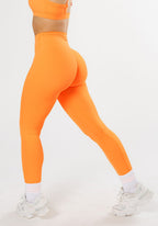 RecStretch Original Sculptseam® Plus Legging Apricot Leggings/Joggers Paragon Fitwear 