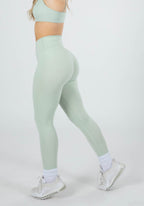 RecStretch Original Sculptseam Legging Sage Leggings/Joggers Paragon Fitwear 