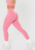 Recstretch™ Original Sculptseam® Plus Legging Petal Leggings/Joggers Paragon Fitwear 