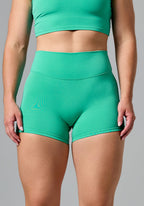 RecStretch™ Original Mid-Rise Sculptseam® Plus Short 4” Palm Leaf Shorts Paragon Fitwear 