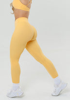 Recstretch™ Original Mid-Rise Sculptseam® Plus Legging Nectar Leggings/Joggers Paragon Fitwear 