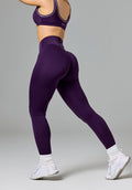 Reluna™ Original Sculptseam® Plus High-Rise Legging Jasmine Leggings/Joggers Paragon Fitwear 